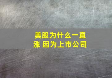 美股为什么一直涨 因为上市公司